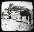 Place of Elijah's Sacrifice on Mt. Carmel