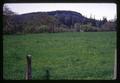 Good pasture in Clatsop County across road from poor pasture, Oregon, circa 1965