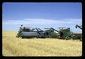 Combines unloading into bank-out, Hawkins Ranch, Umatilla County, Oregon, circa 1970