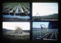 Composite slide of irrigation methods, 1976