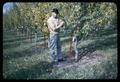 Walt Mellenthin at Mid-Columbia Experiment Station with chemical control of weeds around tree demonstration, circa 1965