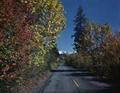 Autumn on road to Bend, Oregon
