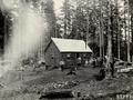 Homestead family showing cabin in clearing