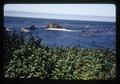 Coast near Port Orford, Oregon, circa 1970