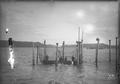 Men in boat taking salmon from fish trap on Columbia River.  J.F. Ford photo.