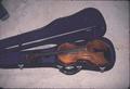 Full violin, front view