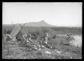 Rattlesnake Camp