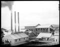 Group of buildings at large sawmill, Carlton Consolidated Lumber Co., three smokestacks in foreground.