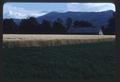 Grain fields, and haying, Southern Oregon