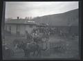 Crowd viewing elk loaded in a boxcar