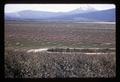 Reclaimed marsh on Upper Klamath River, Oregon, 1965