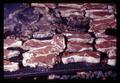 Barbecued steaks at Portland Chamber of Commerce Agriculture Community picnic, Portland, Oregon, August 1969