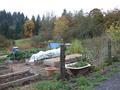 Heimuller, John and Carolena, Farmstead. Garden (Scappoose, Oregon)