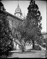 St. Mary's Academy, Portland, obscured by trees in foreground. Tower above trees.