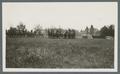 Horse-drawn caisson with limbers in line on parade field, circa 1920