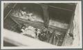 Loading and storing prunes in Andrea F. Luckenbach freight vessel, circa 1925