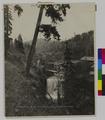 Beaver Creek Falls, Lower Columbia River Highway  (recto)
