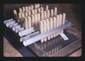 Wheat seedlings treated with colchicine, Oregon State University, Corvallis, Oregon, 1975