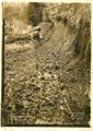 Elk Creek Road, Devils Slide in Clatsop County, Oregon