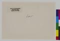 Law School; Faculty, Staff, and VIP's, post 1971 [10] (verso)