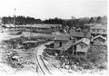 View looking south through Manary Logging Co.'s Camp 1