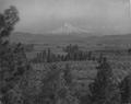 Mt. Hood and Valley.