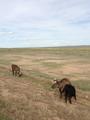 2013July_20130707DBInnerMongolia_013