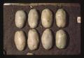 First prize russet potatoes, Oregon State Fair, Salem, Oregon, 1975