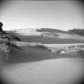 Dunes landscape(2)