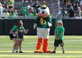 Duck mascot with Junior Ducks, 2012