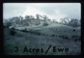 Unimproved sheep pasture with 3 acres per ewe, 1963