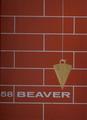 The Beaver 1958