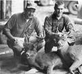 Two men holding two hunted deer