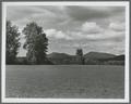 View of Marys Peak from Kings Valley