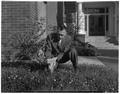 Don Martel, Head of Landscape Architecture, placed identification tags on shrubs on campus, March 1958