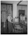 Dr. Vernon Cheldelin in lab, circa 1956