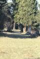 Eugene Pioneer Cemetery (Eugene, Oregon)