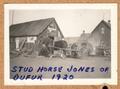 Stud Horse, Jones of Dufur - 1920