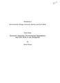 Economic Inequality, Environmental Degradation, and Civil Strife in the Philippines