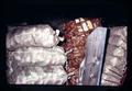 Potatoes in burlap, plastic, and paper sacks, Metolius, Oregon, February 1972