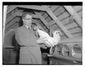 Paul Bernier, professor of poultry, holding a rooster