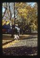 Autumn leaves on NW 32nd by Schultz home, Corvallis, Oregon, November 1975