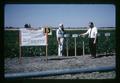 Dry bean asphalt mulch test plots, Jackson Farm, Corvallis, Oregon, 1966