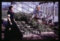 John Yungen explaining flower seed project to Alice Henderson, Southern Oregon Experiment Station, Medford, Oregon, February 1970