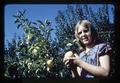 Sandra Gay with dwarf apple tree, Oregon, October 1972