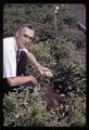 Dr. Spencer Apple examining hill of potatoes at Jackson Farm, Corvallis, Oregon, 1966