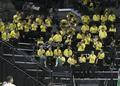 Oregon Basketball Band, 2014