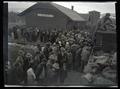 Crowd viewing elk loaded in a boxcar