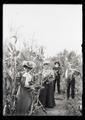 Among the cornstalks