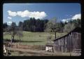 Old barn and sheep pasture west of Philomath, Oregon, 1978